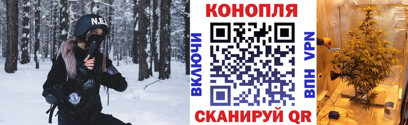 Как найти закладки Сосновоборск Псилоцибиновые грибы  Меф  Бошки Шишки 