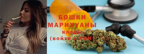 метадон Алексин