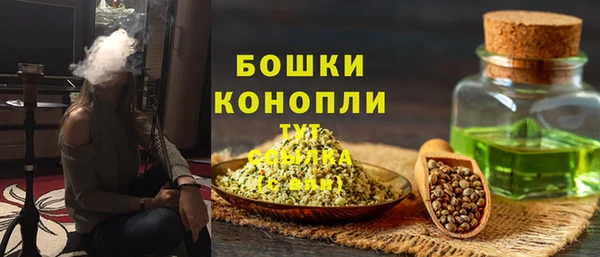 винт Няндома