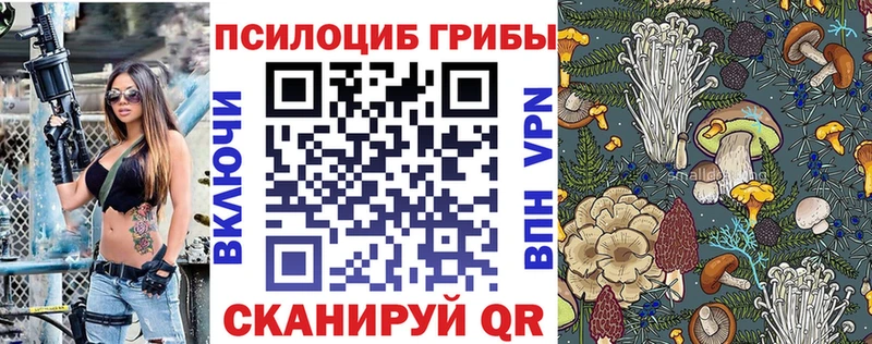 Галлюциногенные грибы мицелий  наркотики  Сосновоборск 