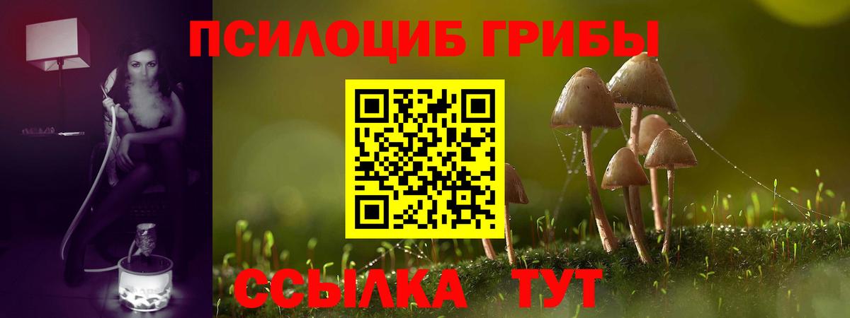 Сосновоборск  Псилоцибиновые грибы мухоморы  Вход с VPN 